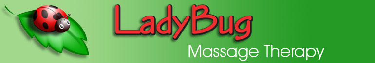 LadyBug Massage Therapy Banner